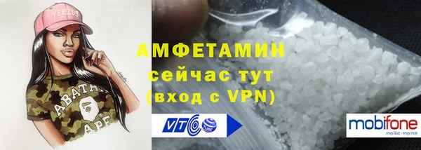 стаф Алексин