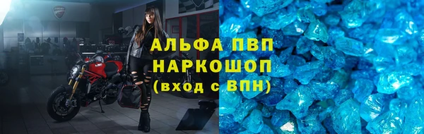 стаф Алексин
